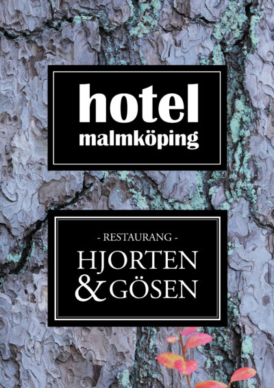 Hotel Malmköping